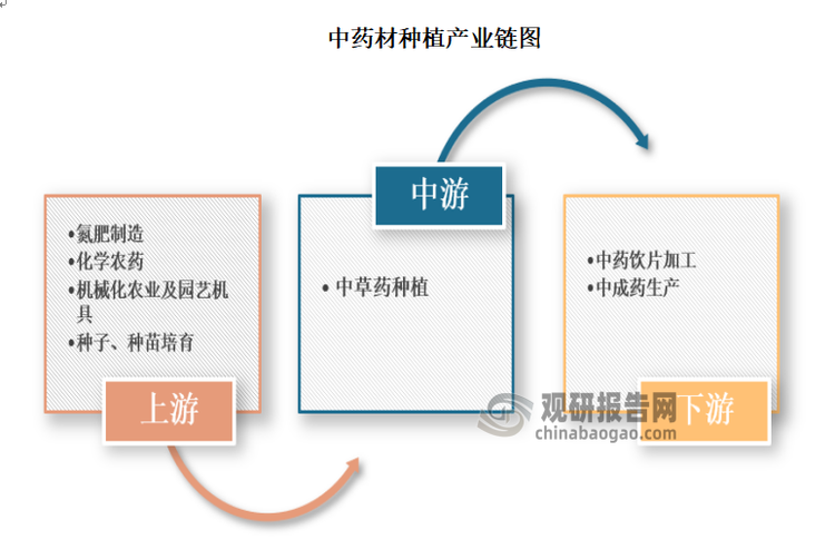 中藥材種植產(chǎn)業(yè)上游環(huán)節(jié)依托化學(xué)農(nóng)藥、肥料及土壤處理、園藝等產(chǎn)品或服務(wù)，經(jīng)過育苗、種植、生產(chǎn)管理、采收與粗加工等環(huán)節(jié)，向下游環(huán)節(jié)的中藥飲片加工、中成藥制造、保健食品研發(fā)制造等提供原料，并最終為中醫(yī)醫(yī)院、藥材市場等消費終端提供產(chǎn)品。