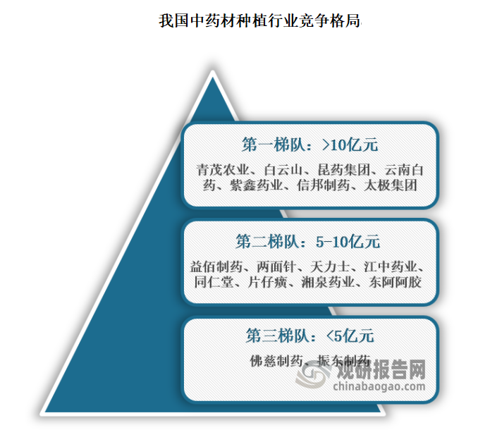 根據(jù)數(shù)據(jù)顯示，我國中藥材種植企業(yè)可分為三個競爭梯隊；第一梯隊為注冊資金為10億元以上的企業(yè)，主要有菁茂農(nóng)業(yè)、白云山、昆藥集團、云南白藥、紫鑫藥業(yè)、信邦制藥、太極集團；其次是注冊資金為5-10億元的企業(yè)，主要有益佰制藥、兩面針、天士力、江中藥業(yè)、同仁堂、片仔癀、湘泉藥業(yè)、東阿阿膠。第三梯隊為注冊資金在5億元以下的企業(yè)，主要有佛慈制藥、振東制藥。