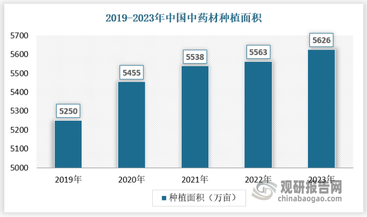 隨著我國(guó)農(nóng)業(yè)供給側(cè)結(jié)構(gòu)性改革的推進(jìn)，國(guó)家對(duì)中藥材產(chǎn)業(yè)扶持力度不斷增強(qiáng)，同時(shí)人口結(jié)構(gòu)發(fā)生變化，人口不斷增長(zhǎng)，僅依靠野生中藥材資源難以滿足國(guó)民需求，在人們健康觀念變化和醫(yī)學(xué)模式轉(zhuǎn)變中醫(yī)藥與西醫(yī)藥優(yōu)勢(shì)互補(bǔ)已經(jīng)成為中國(guó)特色醫(yī)藥衛(wèi)生與健康事業(yè)的重要特征和顯著優(yōu)勢(shì)下。我國(guó)中藥材種植種類越發(fā)多樣，中藥材種植規(guī)模也在不斷上升。截止2023年，我國(guó)中藥材種植面積達(dá)到5626萬(wàn)畝，全年產(chǎn)量約為520.42萬(wàn)噸。