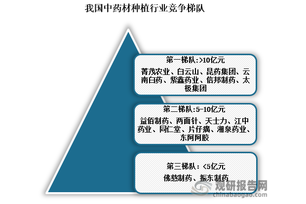 競(jìng)爭(zhēng)梯隊(duì)來看，我國中藥材種植企業(yè)可分為三個(gè)競(jìng)爭(zhēng)梯隊(duì)；第一梯隊(duì)為注冊(cè)資金為10億元以上的企業(yè)，主要有菁茂農(nóng)業(yè)、白云山、昆藥集團(tuán)、云南白藥、紫鑫藥業(yè)、信邦制藥、太極集團(tuán)；其次是注冊(cè)資金為5-10億元的企業(yè)，主要有益佰制藥、兩面針、天士力、江中藥業(yè)、同仁堂、片仔癀、湘泉藥業(yè)、東阿阿膠。第三梯隊(duì)為注冊(cè)資金在5億元以下的企業(yè)，主要有佛慈制藥、振東制藥。