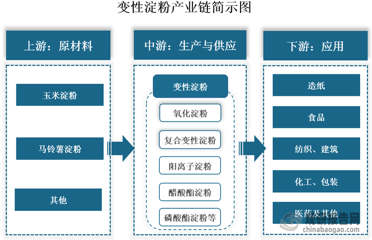 變性淀粉產(chǎn)業(yè)鏈上游為玉米淀粉、馬鈴薯淀粉等原材料；中游為變性淀粉的生產(chǎn)與供應(yīng)，根據(jù)改性方式不同，其可以分為氧化淀粉、復(fù)合變性淀粉、陽離子淀粉等多個(gè)品種；下游為應(yīng)用領(lǐng)域，其被廣泛應(yīng)用于造紙、食品、紡織、建筑、化工、包裝、醫(yī)藥等多個(gè)領(lǐng)域。