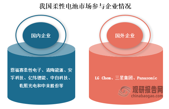 从行业参与情况来看，当前我国柔性电池参与主要可分为国内企业和国外企业，其中国内企业主要包括恩福赛柔性电子、清陶能源、安孚科技、亿纬锂能、中自科技、乾照光电和中来股份等；而国外企业包括‌LG Chem、三星集团、Panasonic等企业。