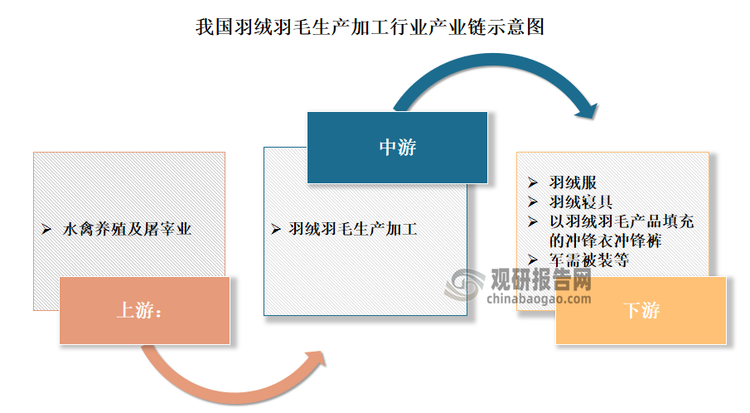 我國(guó)羽絨羽毛生產(chǎn)加工行業(yè)產(chǎn)業(yè)鏈較為完整。其產(chǎn)業(yè)鏈上游為水禽養(yǎng)殖及屠宰業(yè)；中游為羽絨羽毛的生產(chǎn)加工；下游則為羽絨制品，包括羽絨服、羽絨寢具、以羽絨羽毛產(chǎn)品填充的沖鋒衣、沖鋒褲、軍需被裝等。根據(jù)產(chǎn)業(yè)鏈情況，位于行業(yè)中游的羽絨羽毛生產(chǎn)加工行業(yè)的發(fā)展直接關(guān)系到整個(gè)產(chǎn)業(yè)鏈的健康發(fā)展，是連接上游水禽養(yǎng)殖及屠宰業(yè)和下游羽絨制品行業(yè)的重要紐帶，產(chǎn)業(yè)鏈地位突出。