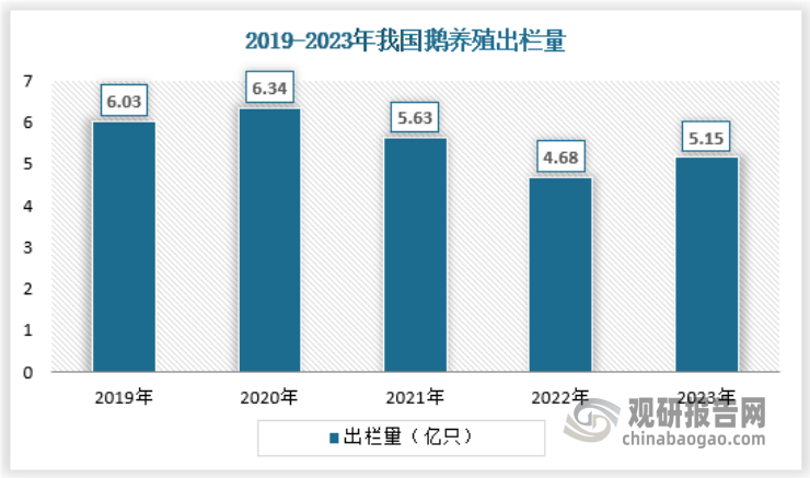 截止2023年，我國鵝養(yǎng)殖出欄量5.15億只，存欄量1.83億只，保持穩(wěn)健的態(tài)勢。