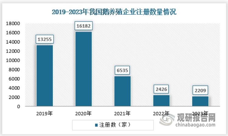 企業(yè)注冊量來看，數(shù)據(jù)顯示，2018年到2020我國鵝養(yǎng)殖業(yè)內(nèi)企業(yè)注冊量為增長趨勢，但在2020之后，就開始迅速下降，到2023年企業(yè)注冊量只有2209家。