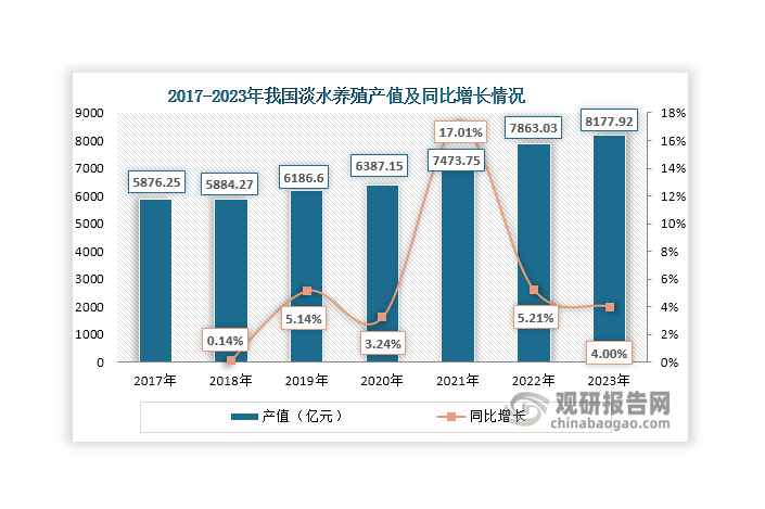 淡水養(yǎng)殖是指利用池塘、水庫、湖泊、江河以及其他內陸水域（含微咸水），飼養(yǎng)和繁殖水產經濟動物（魚、蝦、蟹、貝等）及水生經濟植物的生產，是內陸水產業(yè)的重要組成部分。與海水養(yǎng)殖相比，我國淡水養(yǎng)殖發(fā)展歷史更長，產業(yè)結構更完善，產值也更高。數(shù)據(jù)顯示，近年來我國淡水養(yǎng)殖產值逐年上升，2023年達到8177.92億元，同比增長4%，在漁業(yè)總產值中的占比達到51.25%，高于海水養(yǎng)殖產值（30.62%）。