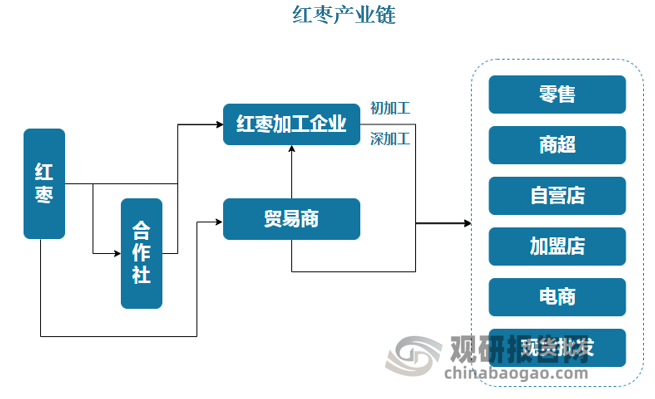 從產(chǎn)業(yè)鏈來看，紅棗產(chǎn)業(yè)鏈分為四個環(huán)節(jié)分別是紅棗種植、紅棗收購、加工生產(chǎn)、終端消費。紅棗種植以基地形式存在居多，散戶人均種植在5畝左右，機械化程度不高，以人工采摘居多。我國紅棗種植呈現(xiàn)三個顯著特點：一是種植區(qū)域集中度較高；二是種植面積及產(chǎn)量呈快速上升趨勢；三是灰棗品種優(yōu)勢明顯。下游行業(yè)一般為紅棗加工企業(yè)，包括初級工和深加工企業(yè)。經(jīng)過多年發(fā)展，紅棗干果等初級產(chǎn)品行業(yè)集中度開始變高。我國棗樹種植主要集中在北方地區(qū)，并以新疆、河北、山東、陜西、山西等省為主，新疆已成為我國最重要的紅棗產(chǎn)區(qū)。 