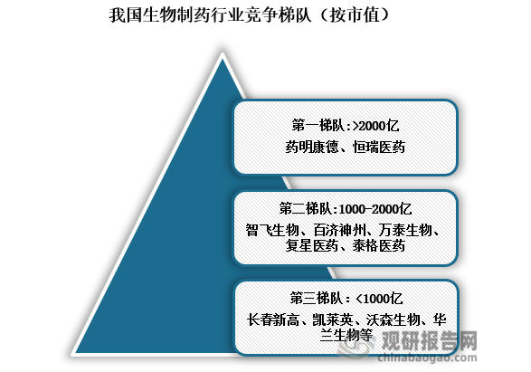 从市值来看，在市值2000亿元以上的企业有药明康德、恒瑞医药;市值在1000亿-2000亿的企业有智飞生物、百济神州、万泰生物、复星医药、泰格医药;市值1000亿元以下的企业有长春高新、凯莱英、沃森生物、华兰生物等。