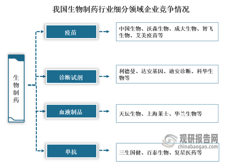 从细分领域来看，疫苗领域以中国生物、沃森生物、成大生物、智飞生物、艾美疫苗等企业为主；诊断试剂领域以利德曼、达安基因、迪安诊断、科华生物等企业为主；血液制品领域以天坛生物、上海莱士、华兰生物等企业为主；单抗领域以三生国健、百泰生物、复星医药等企业为主。