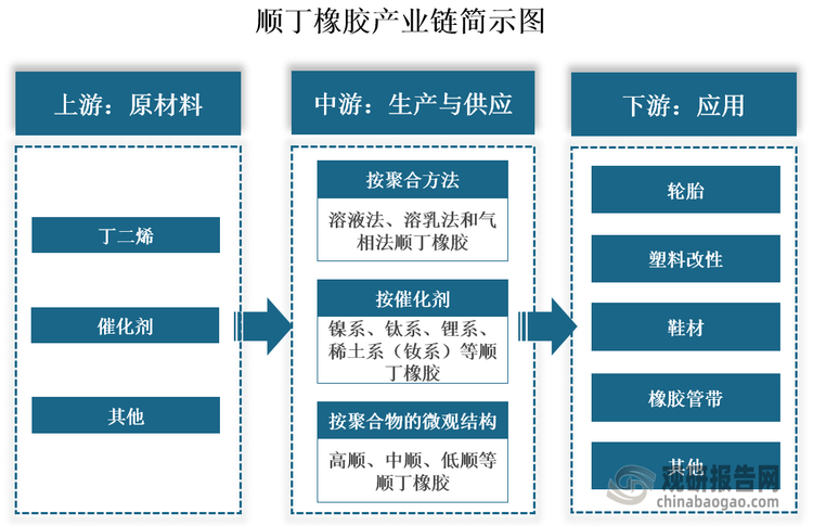 從產(chǎn)業(yè)鏈看，順丁橡膠產(chǎn)業(yè)鏈上游包括丁二烯、催化劑等原材料。中游為順丁橡膠生產(chǎn)與供應，其可以按照三種分類方式進行劃分，如按照催化劑劃分，其可以分為鎳系、鈦系、鋰系、稀土系（釹系）等順丁橡膠；按照按聚合物的微觀結構，其可以分為高順、中順、低順等順丁橡膠。下游為應用領域，其被廣泛應用于輪胎、塑料改性、鞋材、橡膠管帶等領域。