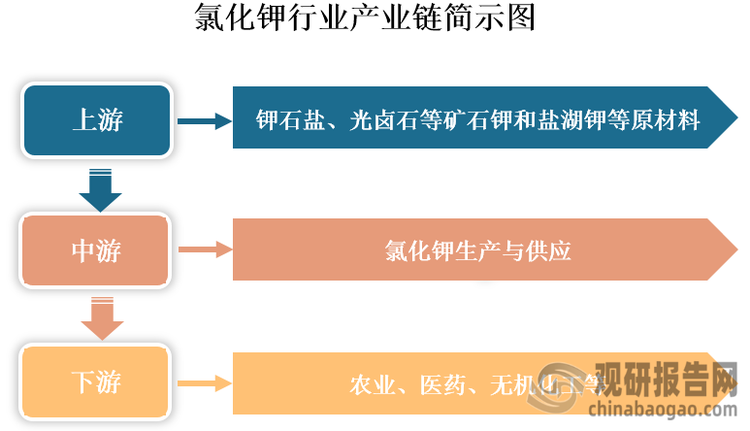 氯化鉀是一種無機化合物，化學(xué)式為KCl，外觀如同食鹽，無臭、味咸。其產(chǎn)業(yè)鏈上游包括鉀石鹽、光鹵石等礦石鉀和鹽湖鉀等原材料。中游為氯化鉀生產(chǎn)與供應(yīng)，生產(chǎn)工藝主要有冷分解-浮選法、反浮選-冷結(jié)晶法、兌鹵法等。下游為應(yīng)用領(lǐng)域，在農(nóng)業(yè)中，氯化鉀主要作為鉀肥使用，用于提高土壤中的鉀含量，促進植物生長和發(fā)育；在醫(yī)藥領(lǐng)域，其用作利尿劑及防治缺鉀癥的藥物；在無機化工領(lǐng)域，其是制造各種鉀鹽或堿如氫氧化鉀、硫酸鉀、硝酸鉀、氯酸鉀、紅礬鉀等的基本原料。