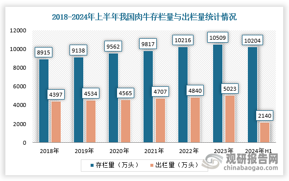 按出欄量來看，我國牛肉出欄量開始迅猛增加，2023年達(dá)到5023萬頭，2024年上半年肉牛出欄2140萬頭，同比增加50萬頭，增幅達(dá)2.4%。按存欄量來看，2017年牛肉存欄量是6617萬頭，2023年牛肉存欄量則達(dá)到1.05億頭，大約增長了4000萬頭，2024年上半年末肉牛存欄10204萬頭，同比減少2.9%。這也說明，在過去的前幾年，越來越多的養(yǎng)殖戶進(jìn)入牛肉養(yǎng)殖行業(yè)，而養(yǎng)殖的牛肉不管是自繁還是育肥，都對(duì)未來一兩年的牛肉價(jià)格造成較大的壓力。