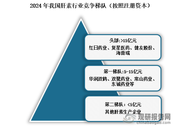 从竞争梯队来看，注册资本超过15亿元的企业主要有红日药业、复星医药、健友股份、海普瑞，处于行业头部地位；5-15亿注册资本的肝素企业主要有华润双鹤、双鹭药业、常山药业、东诚药业等，处于一梯队；其余注册资本小于5亿元的肝素企业处于第二梯队。