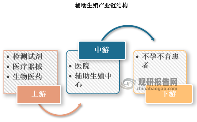 目前辅助生殖的费用较高，上游产业对成本的影响较大，主要由检测试剂、医疗器械和生物医药构成，同时随着第三代试管婴儿的普及，基因检测具备进入潜能。中游为医院和辅助生殖中心，下游则是辅助生殖需求方，也就是患者。