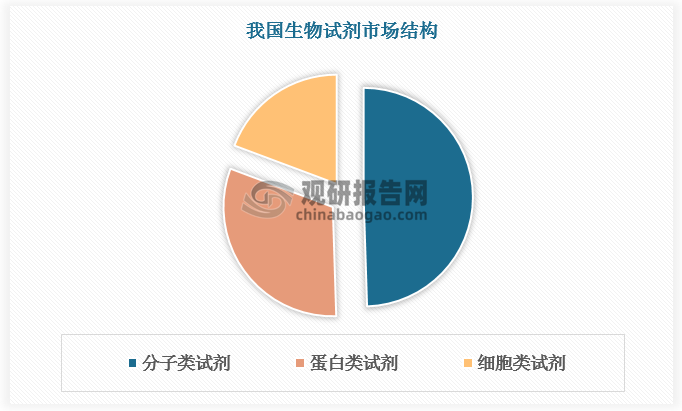 分子类试剂聚焦于核酸及小分子实验，如Taq DNA聚合酶、反转录酶等，占比接近50%；蛋白类试剂则围绕蛋白质大分子操作，涵盖重组蛋白、抗体等，占比超30%；细胞类试剂则主要应用于细胞实验，包括转染试剂、培养基等，占比接近20%。