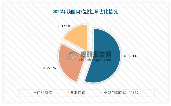 白羽肉鸡是肉鸡主要种类之一，在2023年我国肉鸡出栏量130.22亿只，同比增长9.83%，其中白羽肉鸡71.95亿只，同比增长18.14%，占比为55.3%；小型白羽肉鸡(817) 栏量为22.32亿只，同比增长9.36%，合计占比超过70%。