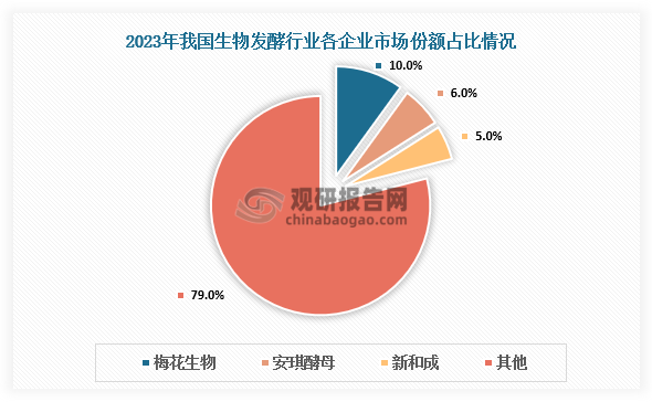 市场份额来看，2023年，在中国生物发酵市场中，梅花生物凭借10%的市场份额位列第一；其次，安琪酵母和新和成市场份额分别为6%和5%，位列第二、第三，三者远高于其他公司。