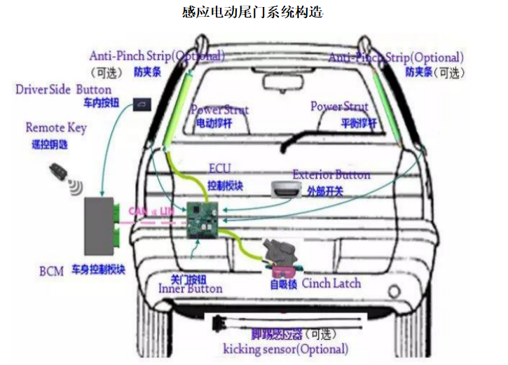 汽车电动尾门驱动系统由撑杆、ECU、自吸锁、脚踢、支架以及气动弹簧等部件组成，分为单驱、双驱、电吸以及脚踢等品种。其中单驱系统指仅由单根电动撑杆驱动尾门开启或关闭，另外一根是由气弹簧或机械弹簧为核心构成的平衡杆；双驱系统由两根带有电机和丝杆的电动撑杆和一个气动弹簧组成；电吸系统靠电吸锁发生作用来自动关门；脚踢系统只要通过腿踢动作就可实现后尾箱的开启或关闭，其主要原理是脚踢传感器感应脚踢动作，通过ECU 向尾门电动撑杆和尾门自吸锁发出指令，执行尾门的自动开关动作。