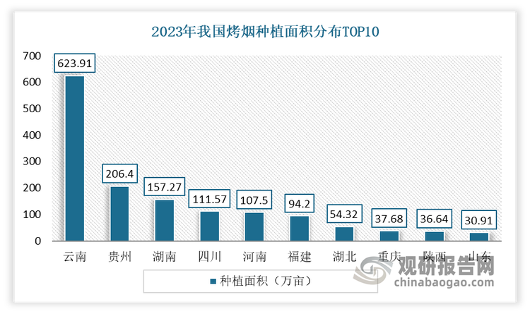 2023年，云南以623.91万亩、87.08万吨稳居全国烤烟生产第1位——在全国所占比重分别为39.88%、39.74%。