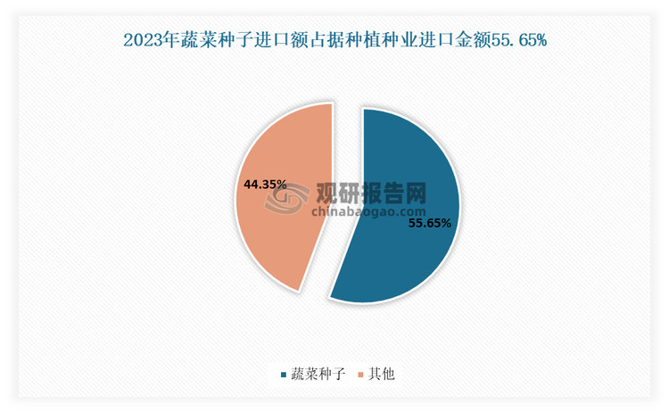 虽然近年我国蔬菜种子自给率不断提高，但仍不能满足市场多样化的需求,中国蔬菜种子的15%仍然依赖进口。目前蔬菜种子仍是我国最大宗进口农作物种子类型，其中优质的番茄、青花菜、胡萝卜种子仍存“卡脖子”现象。数据显示，2023年我国种植用的种子、果实及孢子进口金额‌为4.78亿美元。其中蔬菜种子进口金额2.66亿美元，占比55.65%。