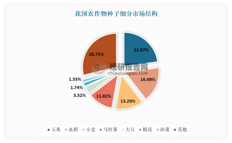 其中玉米、水稻、小麦、大豆是我国农作物种子四大细分板块，占比达到64.67%。其中玉米第一大细分板块，占比22.87%；其次为水稻、小麦、大豆，占比分别为16.69%、13.29%、11.82%。