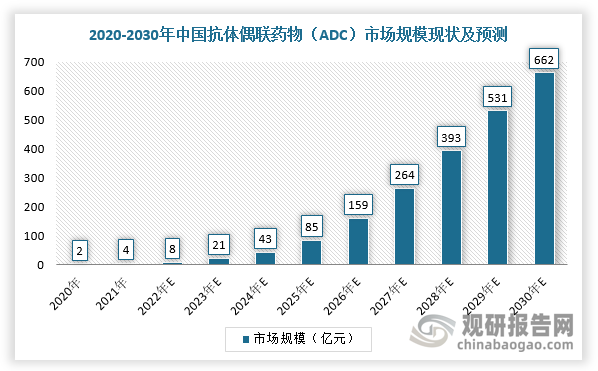 在中国市场，自2020年国家药监局批准首款ADC药物赫赛莱后，我国ADC药物市场开始增长，预计将从2022年的8亿元增长至2030年的662亿元，2022-2030年的复合年增长率为72.8%。同时，ADC药物作为精准化疗的产品，未来有足够的空间替代部分化疗药物市场（约1400亿元）。