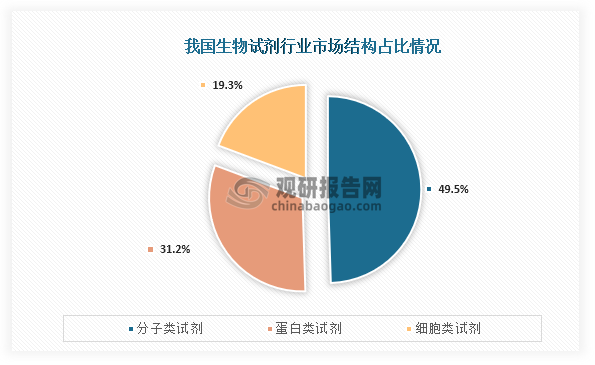 从市场结构来看，我国生物试剂市场占比最高为分子类试剂，占比接近50%；其次为蛋白类试剂，占比为32.%；第三是细胞类试剂，占比为19.3%。