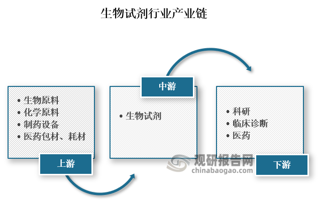 从产业链来看，生物试剂上游主要为生物原料、化学原料、制药设备、医药包材、耗材等原材料和制作设备；中游为各类生物试剂的生产；下游为科研、临床诊断、医药等应用领域。