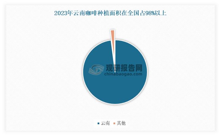 我国咖啡种植业主要云南省为核心，占据98%的咖啡种植面积。云南气候温和，雨量充足，土壤肥沃，特别适合咖啡树的生长，为咖啡豆的优质化生产提供了良好的基础。近年依托其得天独厚的自然条件和高海拔的地理优势，迅速发展成为中国咖啡产业的重镇。根据2023云南农业年鉴显示，咖啡种植面积达130万亩，年产量为11.3万吨，农业总产值达到33亿元，占据了全国咖啡种植总量的98%以上。这一数据表明，在我国咖啡产业版图中，云南在数量上处于绝对主导地位。