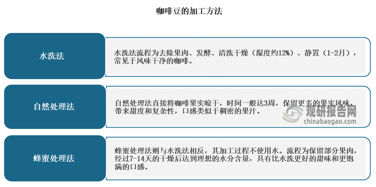 咖啡豆是全球重要的农产品，广泛用于国际期货市场，价格受气候、地缘政治、宗教习俗等因素影响。咖啡豆行业则是围绕咖啡豆种植、挑选、加工、销售的全球性产业。目前咖啡豆的加工分为水洗法、自然处理法和蜂蜜处理法，三者影响咖啡的酸度、甜度和风味各异。