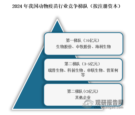 从行业竞争梯队来看，2024年位于我国动物疫苗第一梯队的企业为生物股份、中牧股份、海利生物，注册资本在5亿元以上；位于行业第二梯队的企业为瑞普生物、科前生物、申联生物、普莱柯等，注册资本在3亿元到5亿元之间；位于行业第三梯队的企业为其他企业，注册资本3亿元以下。