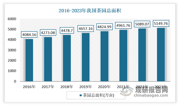 近年我国茶园种植面积以及茶叶产量持续增长。到2022 年，中国茶园⾯积已超 5000 万亩，茶叶产量已达 334.21 万吨。2023年我国茶园总面积达到5149.76万亩，同比增加154.36万亩，增幅为3.09%.；茶叶产量为 354.11 万吨，同比增长5.95%。这一趋势不仅为速溶茶企业提供了充足的生产原料，也增强了下游市场的竞争力。