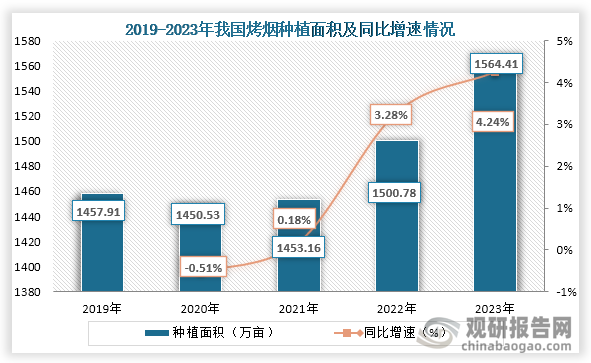 從種植面積來看，2019年到2023年我國烤煙種植面積為種植趨勢，到2023年我國烤煙種植面積為1564.41萬畝，同比增長4.24%，在煙葉總生產(chǎn)規(guī)模占比達(dá)到了96.2%。