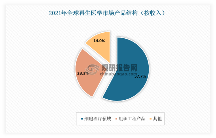 目前再生醫(yī)學(xué)主要包括干細胞、組織工程、細胞治療、器官移植等多個研究領(lǐng)域。其中干細胞與組織工程研究是再生醫(yī)學(xué)的核心內(nèi)容。有相關(guān)資料顯示，2021年，在全球再生醫(yī)學(xué)市場中，細胞治療領(lǐng)域份額最高（按收入），約為57.7%；其次為組織工程，市場份額為28.3%。