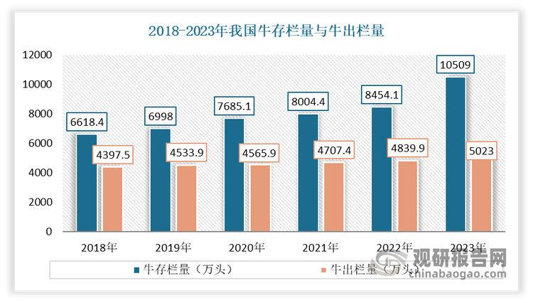<strong>生產(chǎn)方面：</strong>近幾年我國牛肉供給處于不斷增加的態(tài)勢，存欄數(shù)、出欄數(shù)、產(chǎn)量均在不斷增長，這為我國牛肉醬提供了穩(wěn)定的供應(yīng)。根據(jù)數(shù)據(jù)，2018-2023年我國牛存欄量由6618.4萬頭增長至10509萬頭，牛出欄量由4397萬頭增長至5023萬頭，牛肉產(chǎn)量由644萬噸增長至753萬噸。