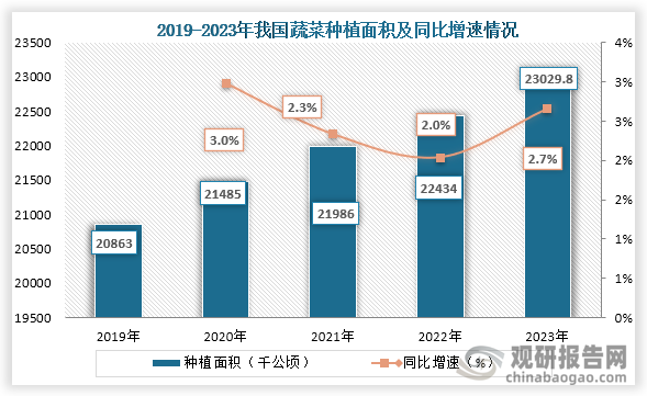 蔬菜富含多種維生素、礦物質和膳食纖維，具有豐富的營養(yǎng)的價值，在飲食中占有重要的地位。隨著種植條件的改善和產(chǎn)業(yè)鏈的成熟，加上政策的支持，我國蔬菜種植面積持續(xù)增長。數(shù)據(jù)顯示，到2023年我國蔬菜種植面積為23029.8千公頃，同比增長2.7%。