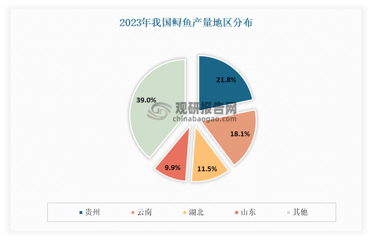 从地区来看，目前我国鲟鱼产区较为集中，主要分布于贵州、云南、湖北、山东、河北、四川、浙江、湖南、江西等省份。其中云南、贵州是两个主产区，这两者鲟鱼合计占比近40%。根据相关数据显示，2023年贵州鲟鱼产量3.25万吨，超过云南鲟鱼产量位列全国第一，其占比达到21.75%；云南鲟鱼产量2.7万吨，位列第二，占比18.07%。