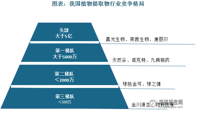 我国植物提取物行业呈现梯队化竞争格局，其中头部企业如莱茵生物、晨光生物、康恩贝基于自身业务纵向布局，处于市场领先位置。