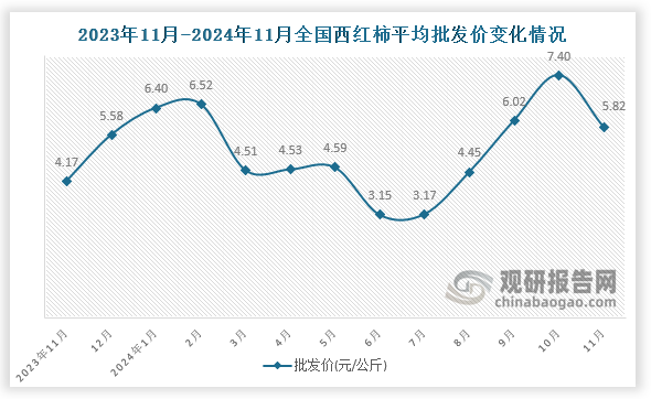 数据显示，近十三月全国西红柿平均批发价呈先升后降再升趋势。2024年11月全国西红柿平均批发价为5.82元/公斤，环比下降21.4%，同比增长39.6%。