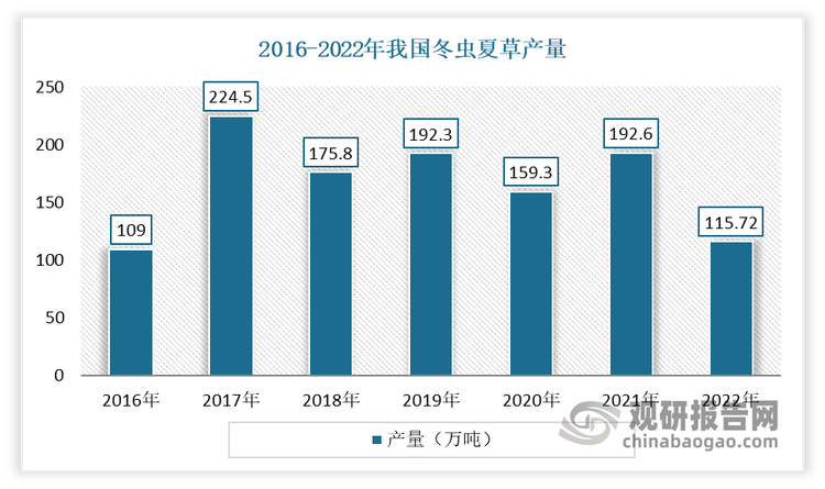 我国世界最大的冬虫夏草生产国，其产量占世界产量的98%以上。近年来随着冬虫夏草的市场需求逐年增加，以及相关产品和应用研发持续推进，整体冬虫夏草产量供给渐趋稳定。虽然2022年我国冬虫夏草产量相较于前一年有所下降，但仍保持在较高水平‌。但由于冬虫夏草的生长环境特殊，资源稀缺，过度采集和无序竞争导致生态环境破坏严重，这些问题限制了产量的进一步提升。2022年我国冬虫夏草的产量为115.72吨，较2022年下降了76.88吨。