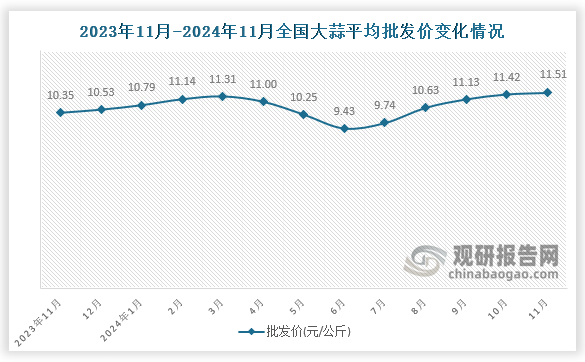 數(shù)據(jù)顯示，近十三月全國(guó)大蒜平均批發(fā)價(jià)呈先升后降再升趨勢(shì)。2024年11月全國(guó)大蒜平均批發(fā)價(jià)為11.51元/公斤，環(huán)比增長(zhǎng)0.8%，同比增長(zhǎng)11.2%。