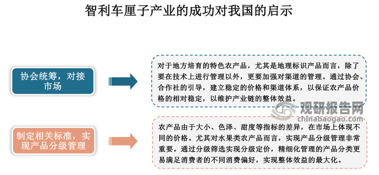 同时，国内栽培的车厘子供应量也不断上升，部分品牌的樱桃在个头、颜色、口感上均超过进口车厘子。不过，中国果品流通协会表示，虽然国产大樱桃发展迅速，但产品规模、质量标准化、市场持续性等方面差距大。而智利作为全球最大的车厘子生产国，在培养、标准等方面具有优异参考价值。