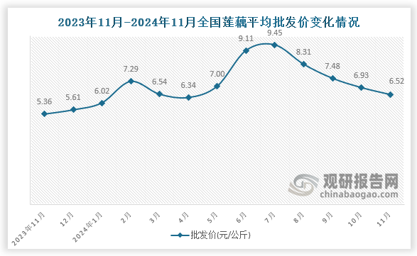 数据显示，近十三月全国莲藕平均批发价呈先升后降趋势。2024年11月全国莲藕平均批发价为6.52元/公斤，环比下降5.9%，同比增长21.6%。