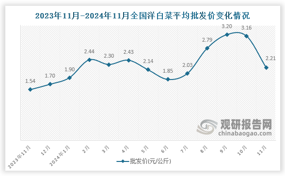 数据显示，近十三月全国洋白菜平均批发价呈先降后升趋势。2024年11月全国洋白菜平均批发价为2.21元/公斤，环比下降30.1%，同比增长43.5%。