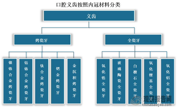 目前义齿按照内冠材料不同分为烤瓷牙和全瓷牙。烤瓷牙内冠为金属，外层覆盖陶瓷材料；全瓷牙是指覆盖全部牙冠表面，且不含金属内冠的瓷修复体，其具有更好的透光度和感光度。