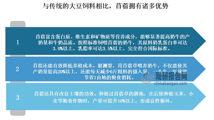 要保障原奶质量安全，草料是关键，而饲喂苜蓿是最优选择。目前国内苜蓿草主要是用于奶牛养殖业中。因此其市场需求主要来自于奶牛养殖业。由于与传统的大豆饲料相比，苜蓿拥有诸多优势，因此进入2008年以来，受到三聚氰胺事件影响，国内牧场开始给奶牛喂苜蓿。而这也为苜蓿等牧草行业带来了广阔的需求空间。