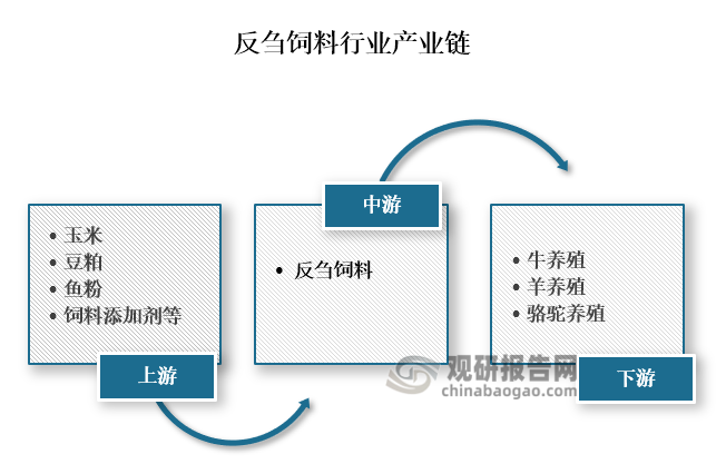 從產(chǎn)業(yè)鏈來(lái)看，反芻飼料上游主要為玉米、豆粕、魚(yú)粉、飼料添加劑等原材料；中游為反芻飼料的生產(chǎn)；下游為牛養(yǎng)殖、羊養(yǎng)殖、駱駝養(yǎng)殖等養(yǎng)殖行業(yè)。