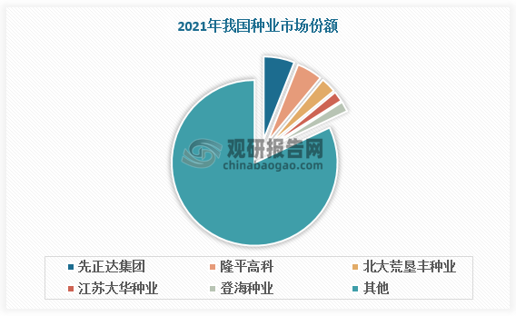 从具体企业竞争看，隆平高科、北大荒等处于市场领先地位。根据数据，2021年先正达集团、隆平高科、北大荒垦丰种业、江苏大华种业和登海种业，市占率分别为 6%、5%、3%、2%、2%。头部企业加速推动种源相关技术发展升级，以不断提高种子培育质量、压缩种子生产成本，在市场拥有更强竞争力，未来将持续引领我国种业发展，行业集中度有望提升。