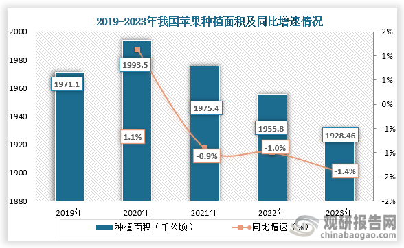 我國是蘋果主要產(chǎn)地之一，蘋果產(chǎn)量約占全球產(chǎn)量的50%以上，位居世界第一。從種植面積來看，2020年之后我國蘋果種植面積逐年下降，到2023年我國蘋果種植面積為1928.46千公頃，同比下降1.4%。