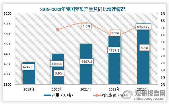 從產(chǎn)量來看，盡管國內(nèi)蘋果種植面積下降，但單位面積產(chǎn)量提高，因此從2019年到2023年，我國蘋果產(chǎn)量從4242.5萬噸增長到了4960.17萬噸，實(shí)現(xiàn)連續(xù)五年穩(wěn)定增長。